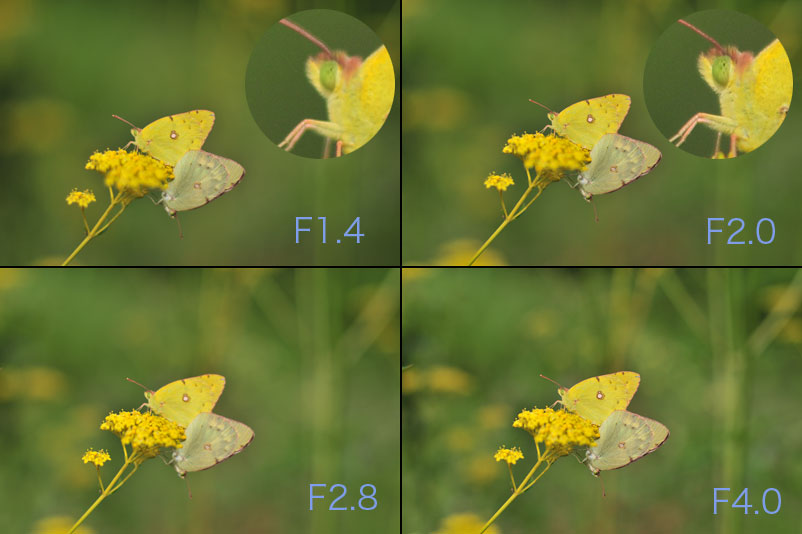 AiAFニッコール50mm1.4で絞りによる画質の変化