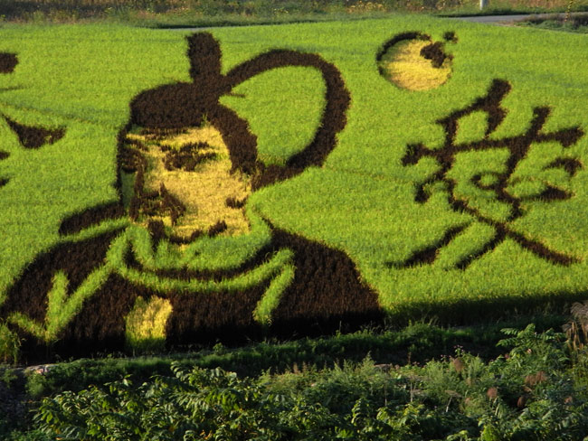 米沢の田んぼアート