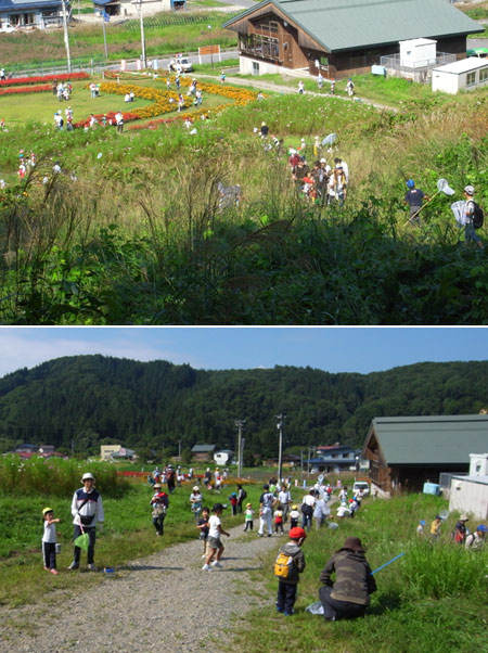 米沢幼稚園の観察会