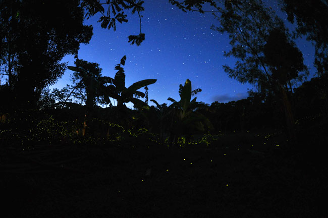 マダガスカルの旅を終えて