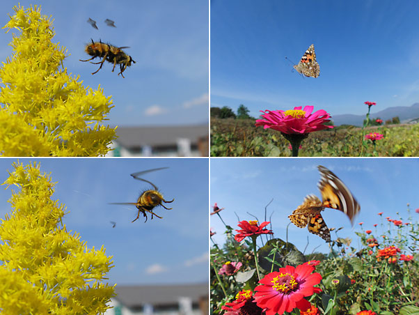 高速連写の問題点