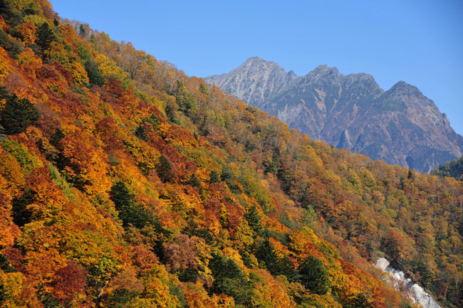 安房峠付近の紅葉
