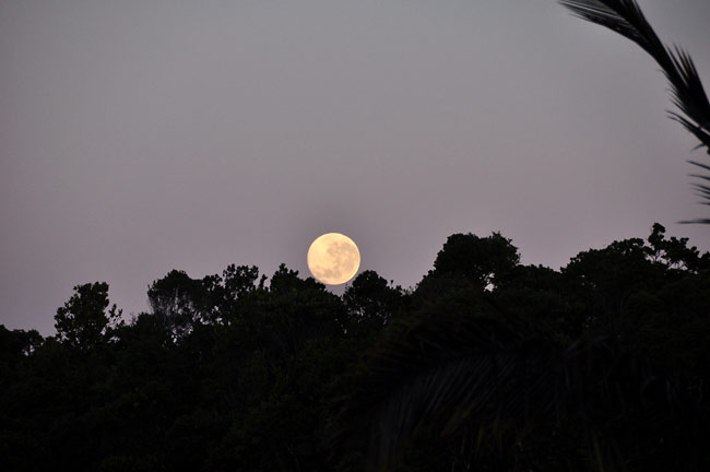 満月（マダガスカル）