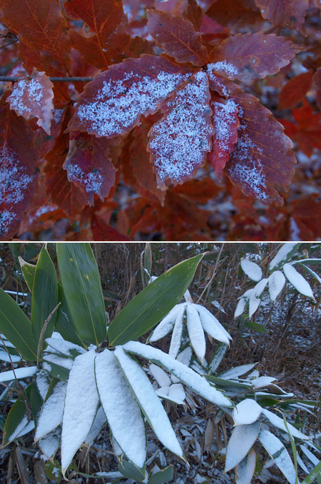 小諸はもう冬の気配