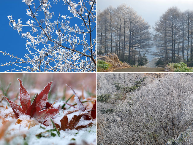 Macro-Planarの描写