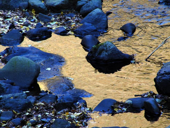 川面に映る黄金色