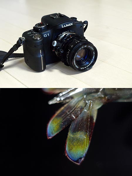 マクロスイターをG1で