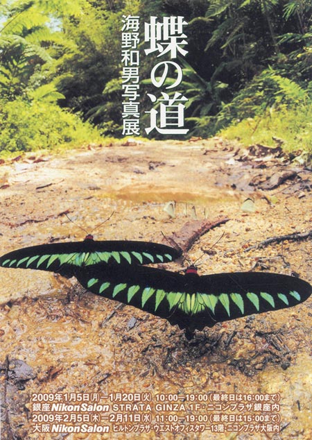 写真展の飾り付け