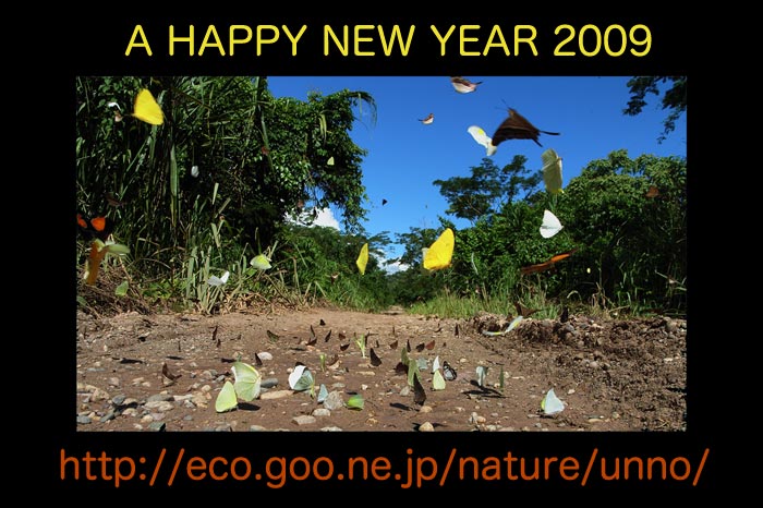 今年も小諸日記をよろしくお願いいたします