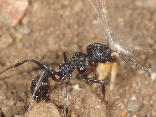 自然写真家の使命(サステイナビリティとサバイバビリティ)