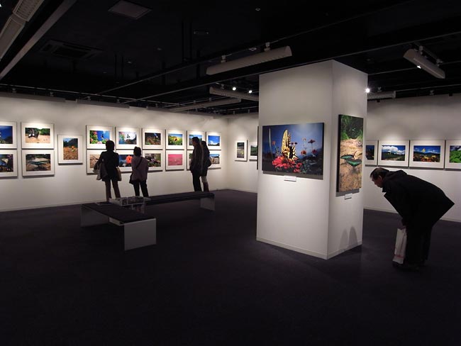 今日から写真展