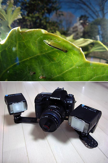 ツインフラッシュブラケット雑感