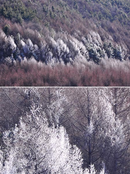 ニコンD3Xの解像度