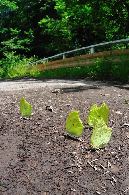 写真展で気にいられた写真