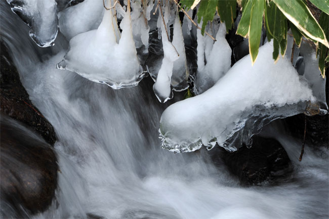 渓流の氷