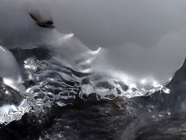 逆光で見た沢の氷