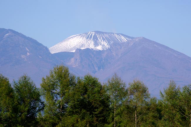 カラマツの新緑と浅間山
