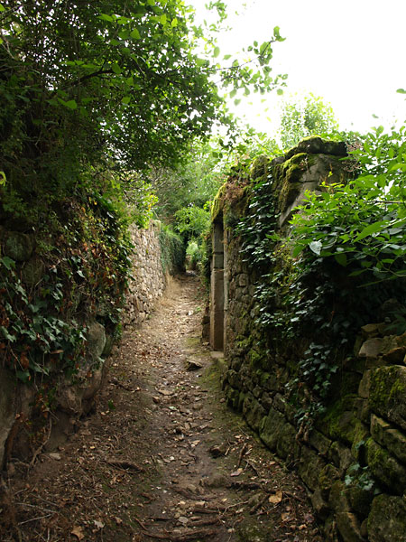 生家の横の小道