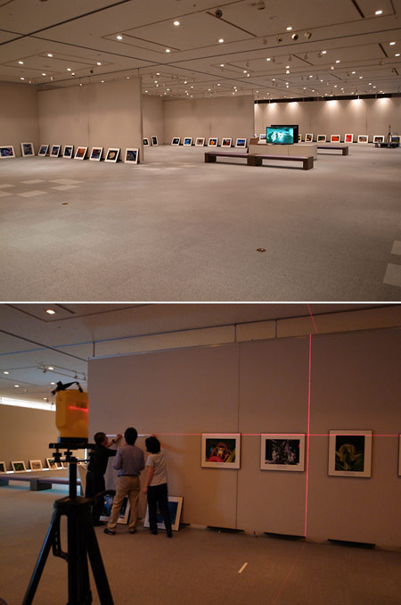 写真展の飾り付け