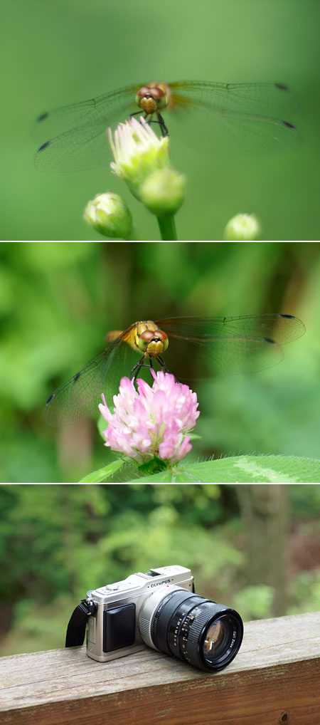 マウントアダプター