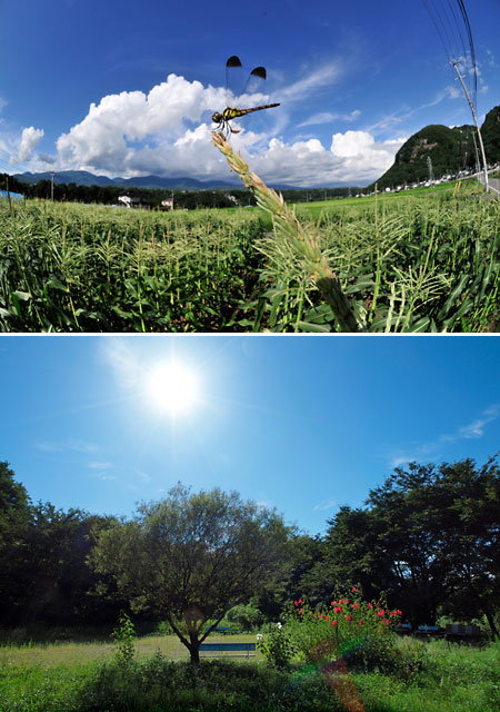 夏空（小諸日記、毎日更新10周年）