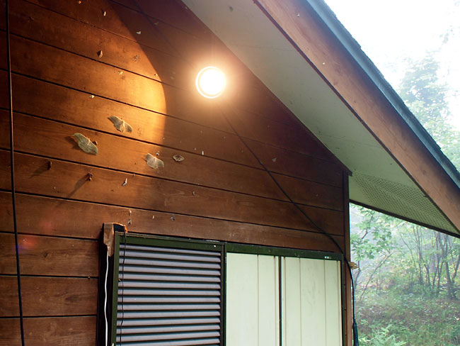 ヤママユの季節 