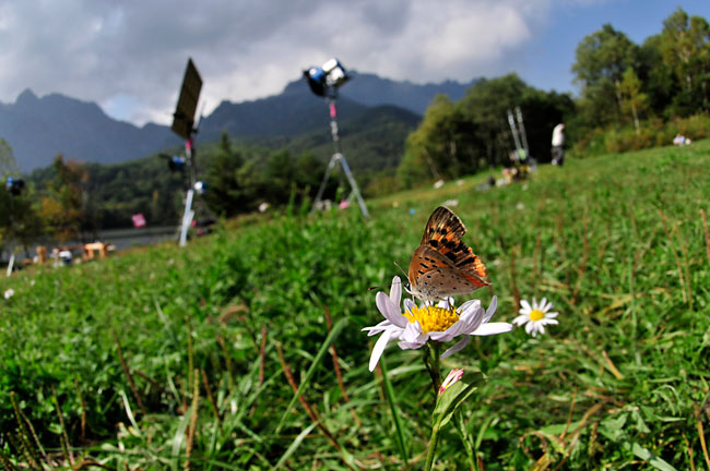 戸隠とベニシジミ