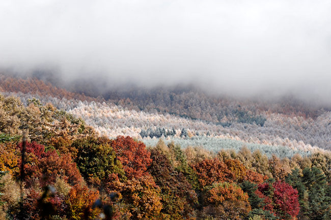 今年はじめての雪と霧氷