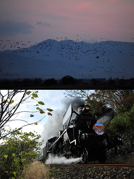 第11回にほんかい自然写真学校