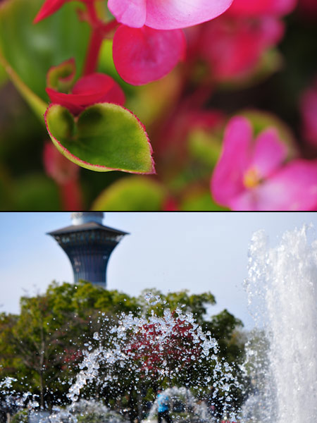 AF-S DX Micro NIKKOR 85mm 