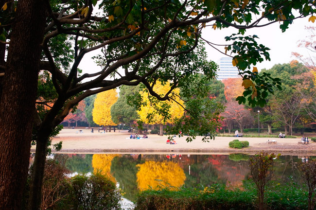 Ricoh GXR A12(50マクロ）