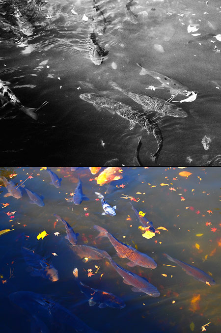 アートフイルター