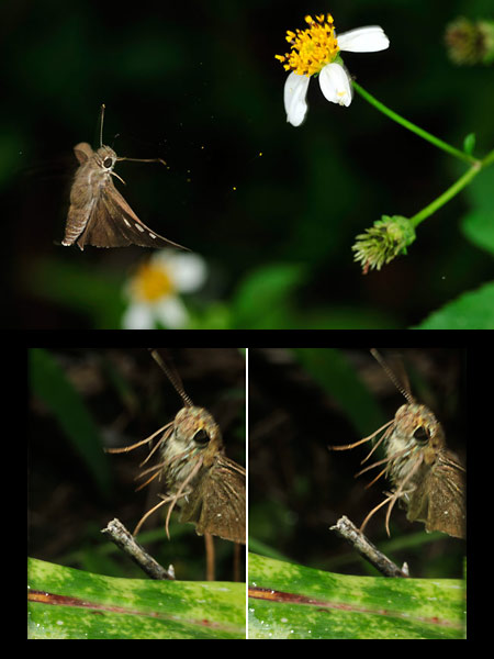 ストロボのタイムラグ