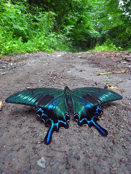 年の瀬に思うこと