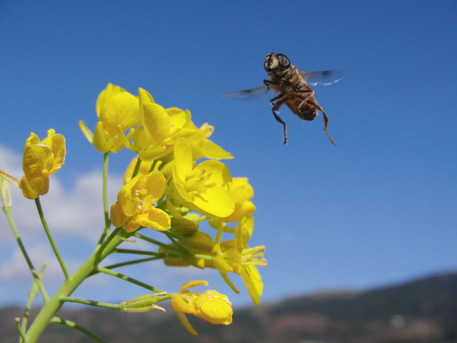 デジタルカメラのこと