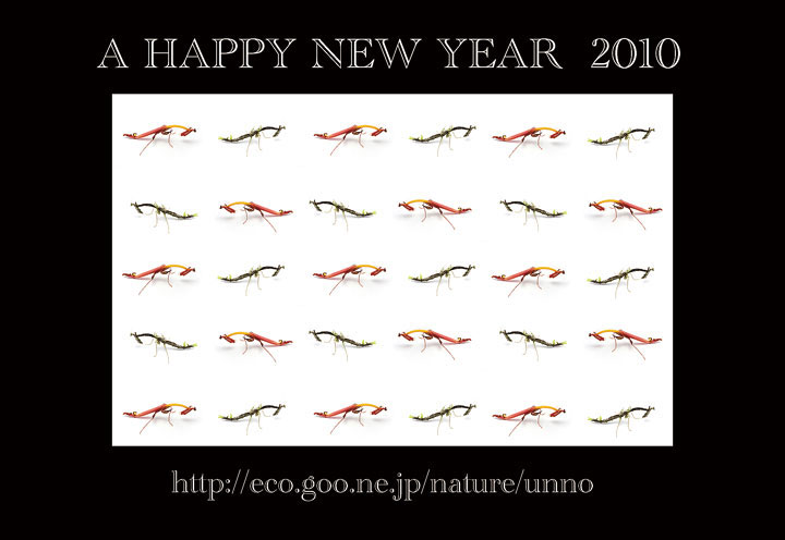 あけましておめでとうございます