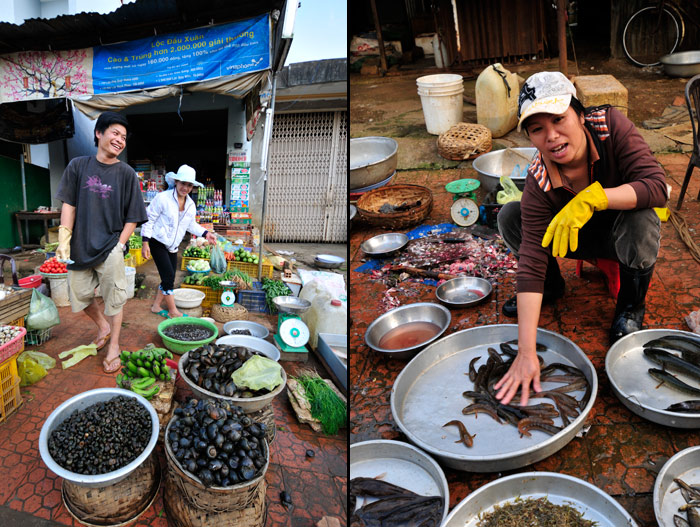 バオロックの魚屋