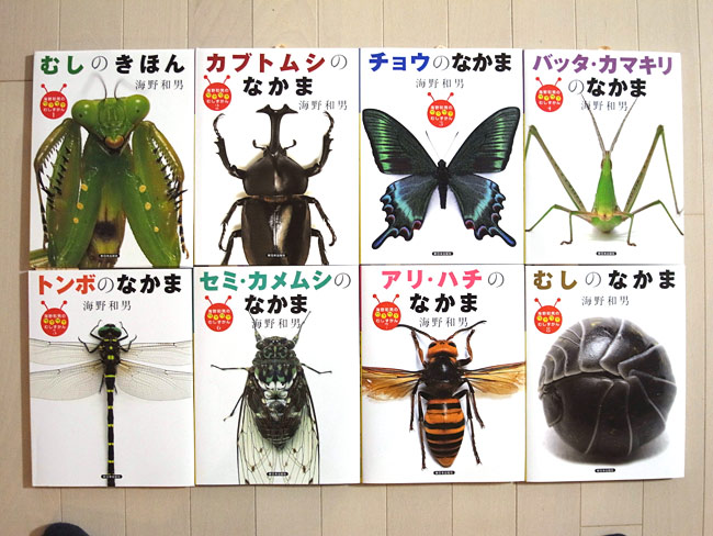 むしずかん完成