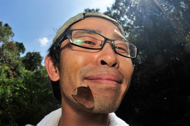 ルリモンジャノメ