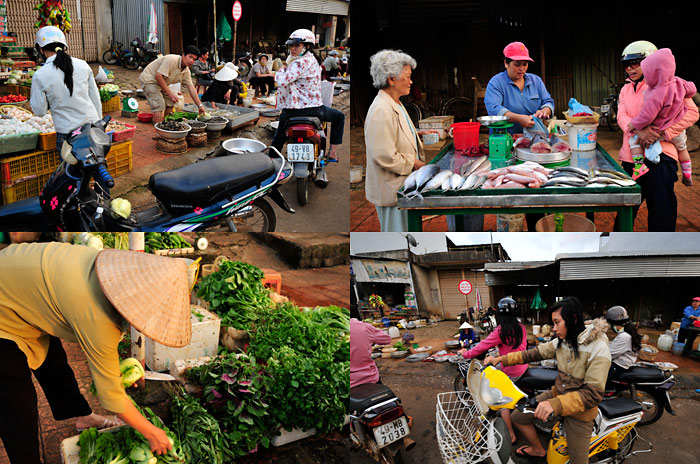 ベトナムの総括