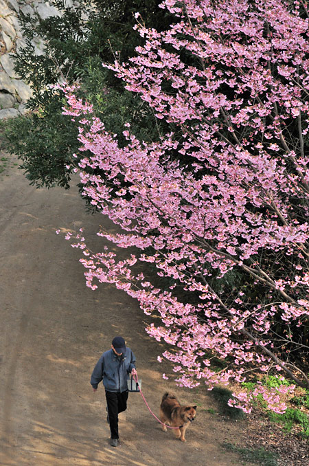 ニッコールクラブ松山撮影会