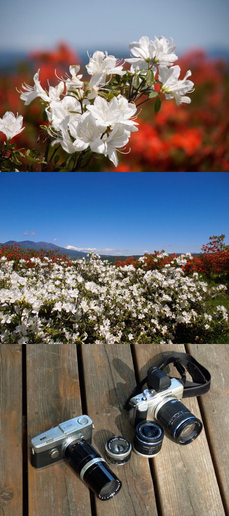 ペンシリーズ用のM.ZUIKO DIGITAL ED 14-150mm
