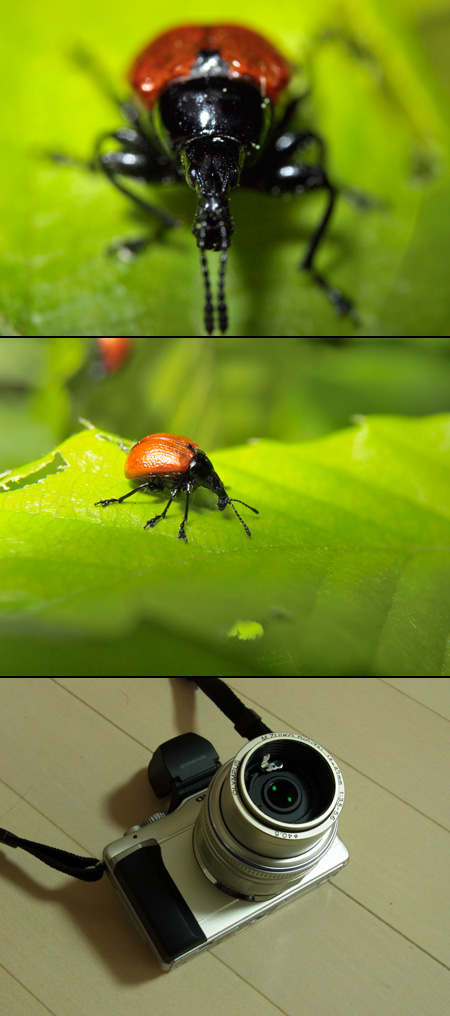 PENシリーズ用改造マクロ