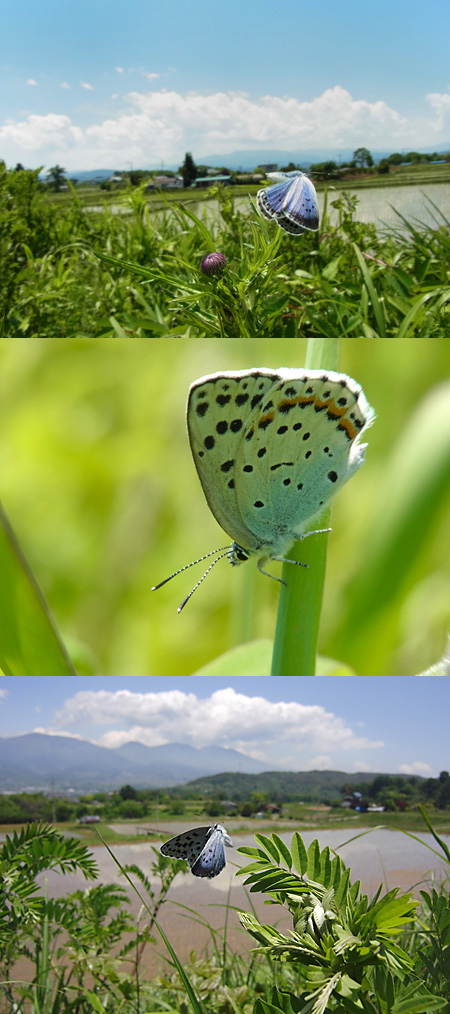 GXR用のカメラユニットP10