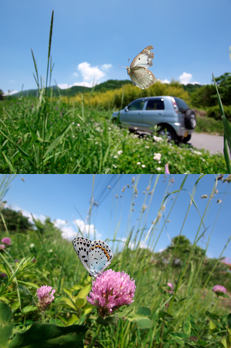 広角レンズの最短撮影距離を縮める