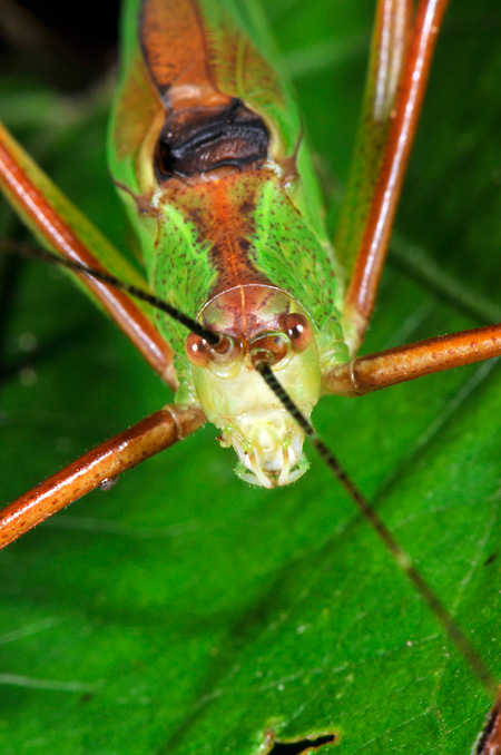 上田創造館の講演会とゼミ