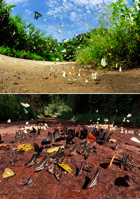 クックフーン国立公園