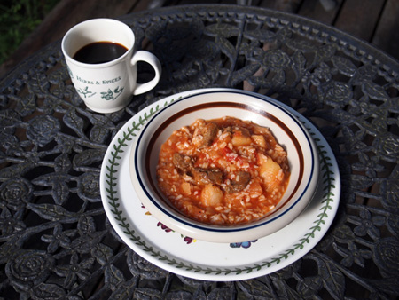 この中に何種の生き物が？