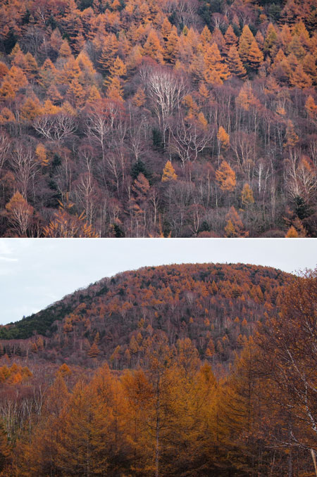 マイクロフォーサーズ用の40-150