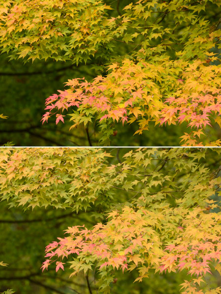 D7000 風景モード